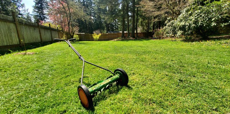 Mowing Too Low Opens Soil Mowing Too Low Opens Soil