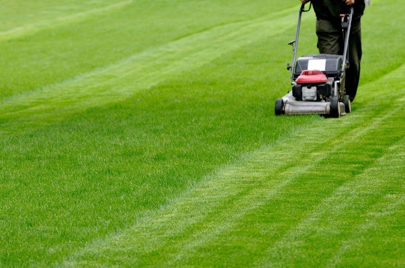 Mowing Too Short Mowing Too Short