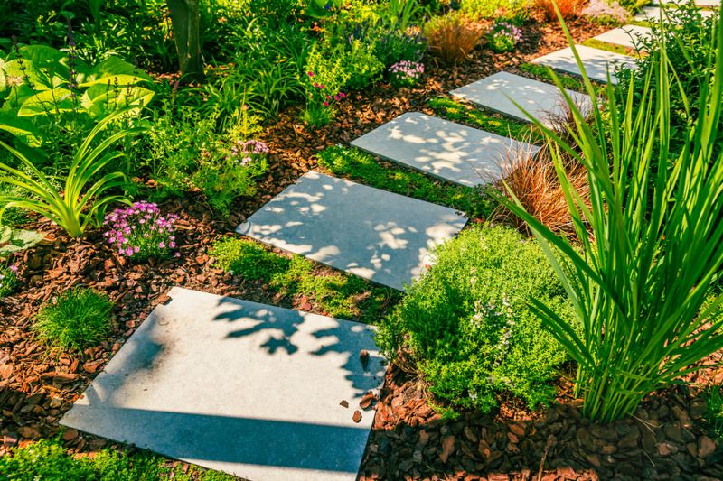 Mulch Application Around Plants Mulch Application Around Plants
