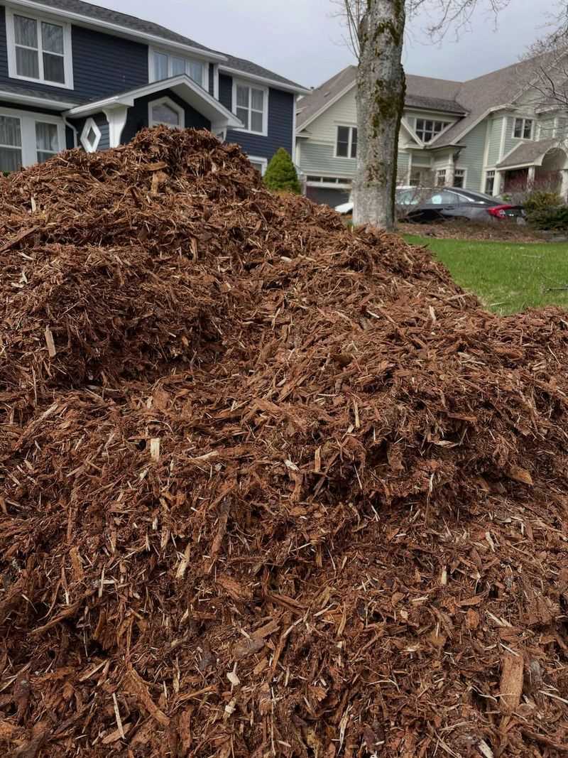 Mulch Bare Soil After Flowers Start Growing Strong Mulch Bare Soil After Flowers Start Growing Strong