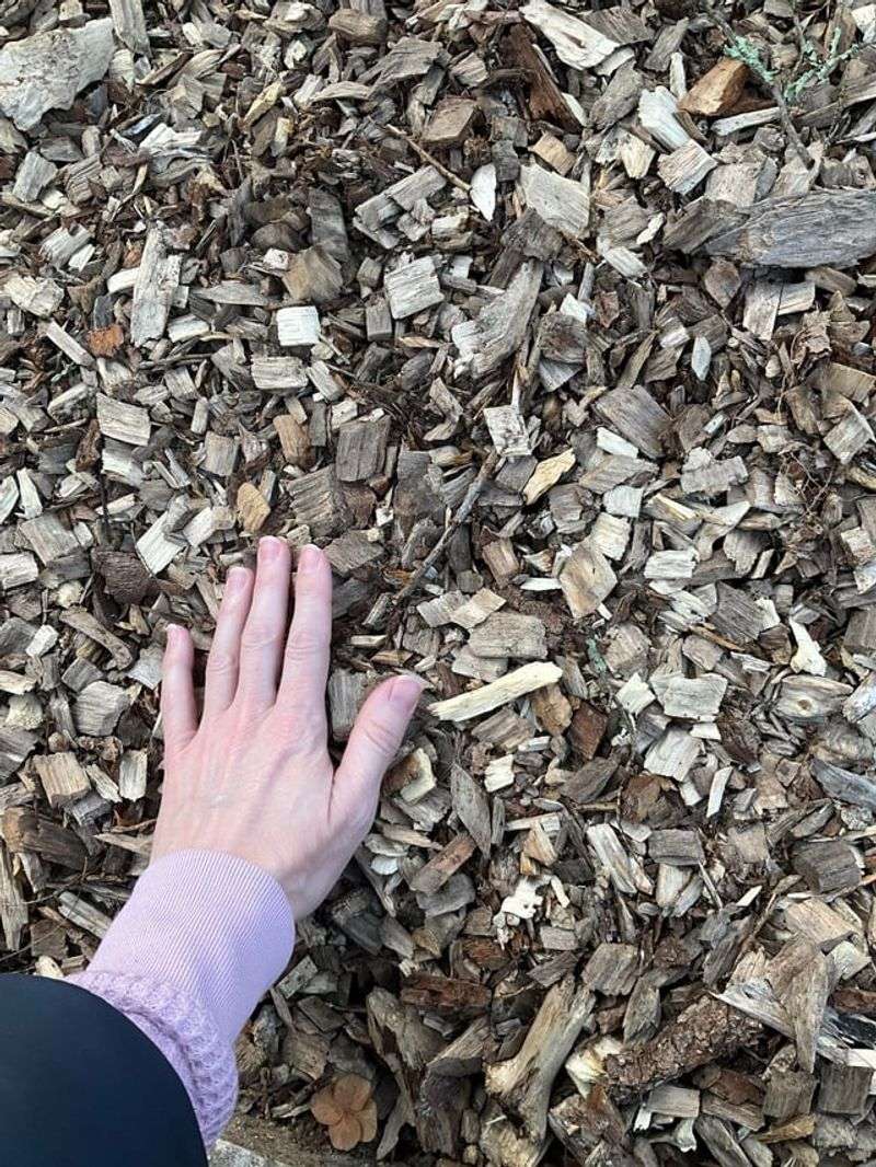 Mulch Can Help Or Hurt Depending On Placement