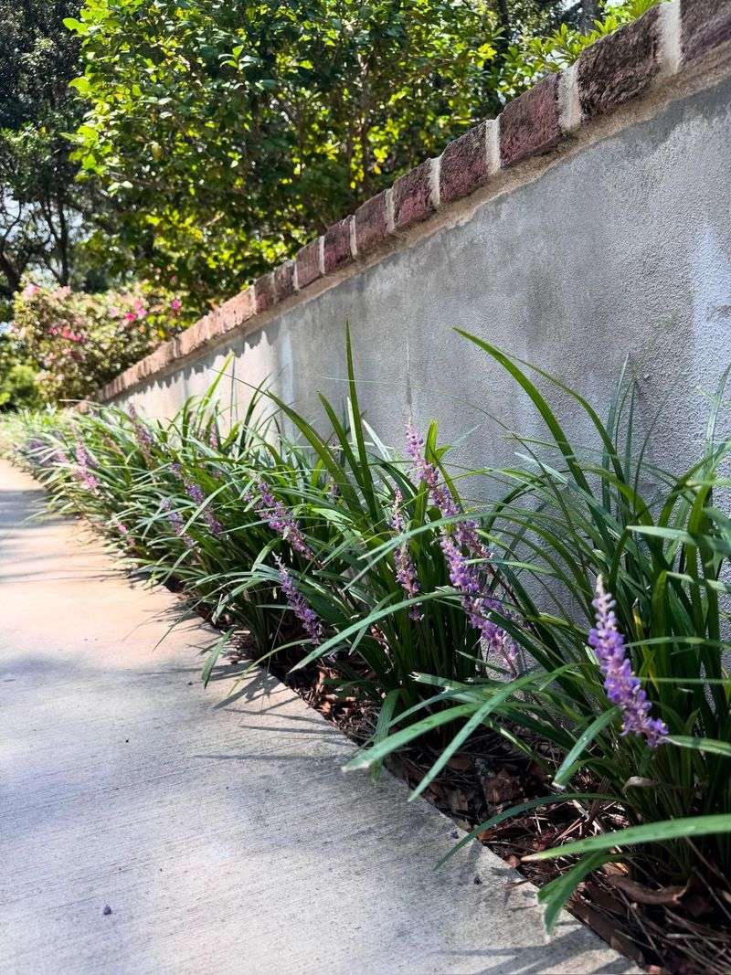 Mulch Helps Reduce Watering Needs Mulch Helps Reduce Watering Needs