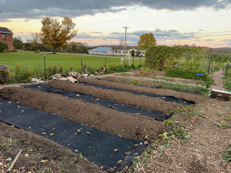 Mulch Piled Flat Lets Water Run Under And Wash It Out