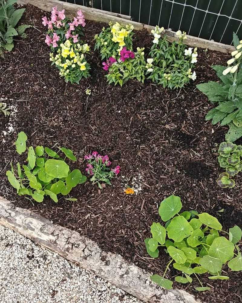 Mulch Shields Soil From Heavy Rain