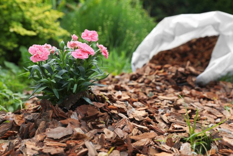 mulching flower bed