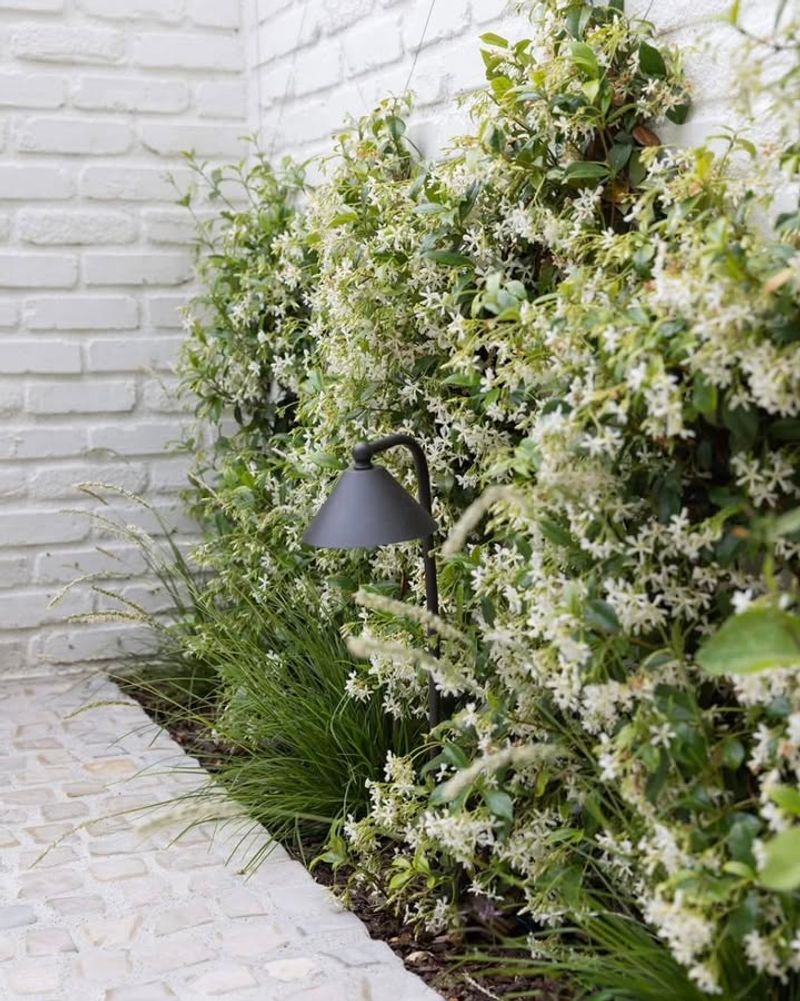 Mulch To Retain Moisture And Suppress Weeds