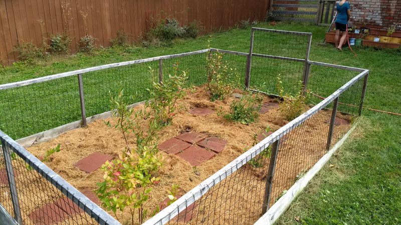 Mulch With Sawdust Or Bark Mulch With Sawdust Or Bark