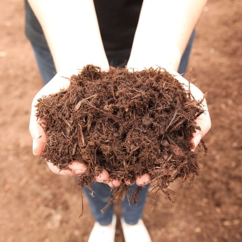 Mulching Lightly Mulching Lightly
