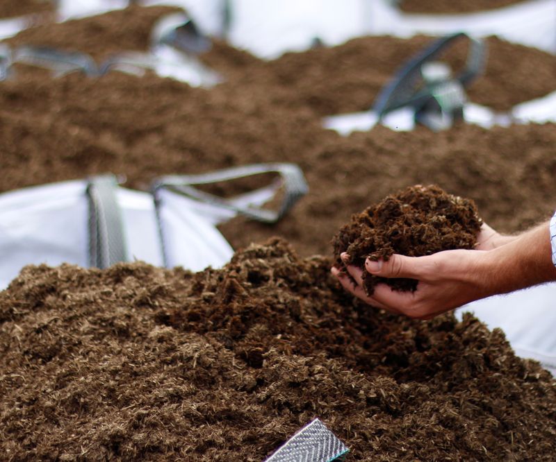 Mulching Retains Soil Moisture For Longer Periods