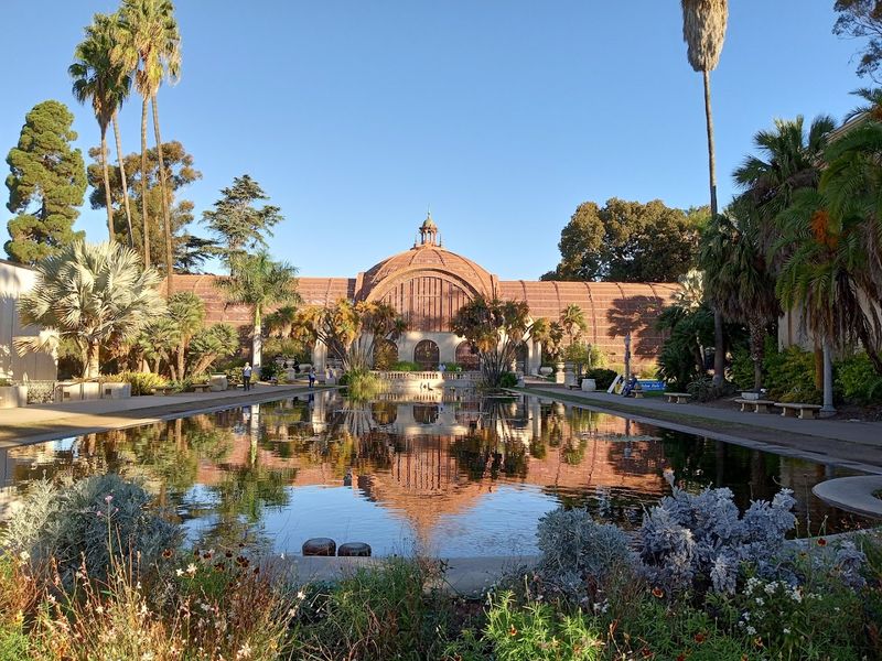 Museum Of Us Native Seed Library — San Diego Museum Of Us Native Seed Library — San Diego