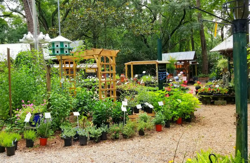 Native Nurseries Gives Northern-Region Gardeners A Longtime Native Stop Native Nurseries Gives Northern-Region Gardeners A Longtime Native Stop