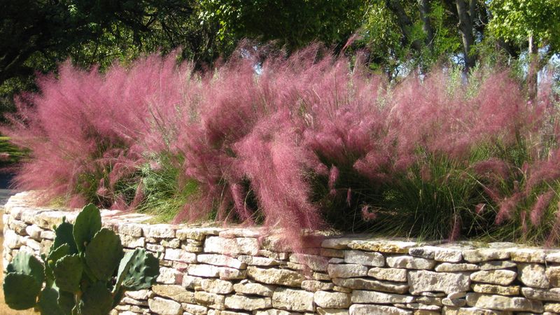 Native Style Blends Well With Texas Landscapes Native Style Blends Well With Texas Landscapes