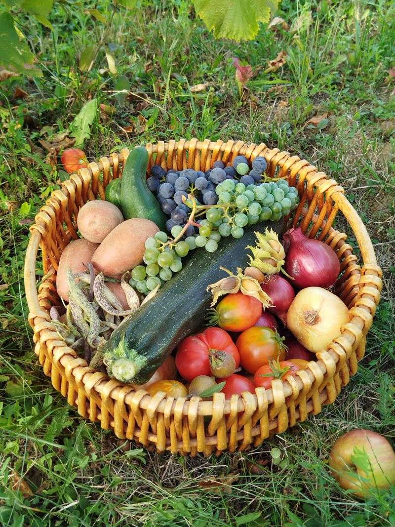 Natural Food Sources Are Now More Abundant Nearby