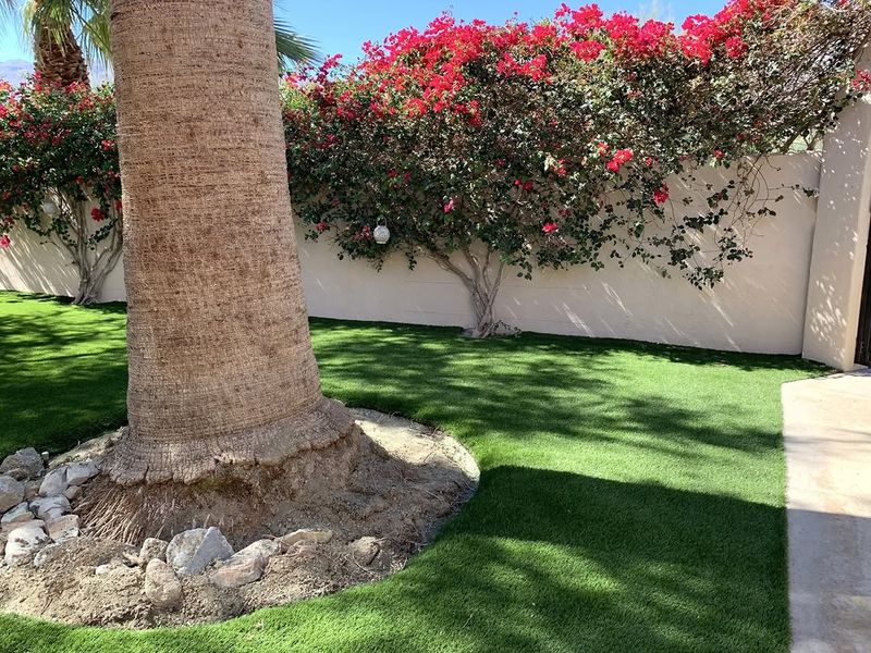 Nearby Plants Get Hit With Reflected Heat Nearby Plants Get Hit With Reflected Heat