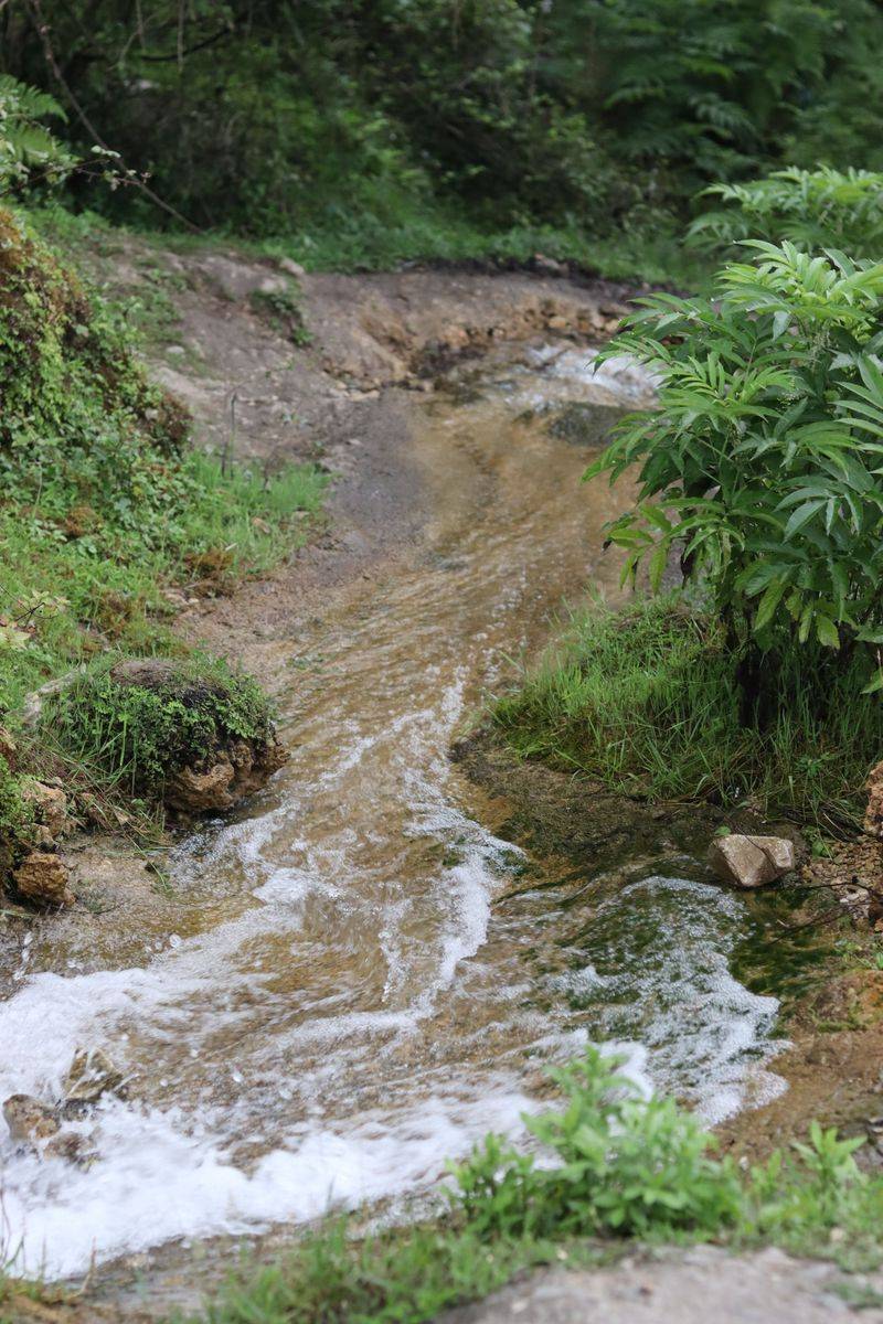 Nearby Water Sources Are Present Or Close