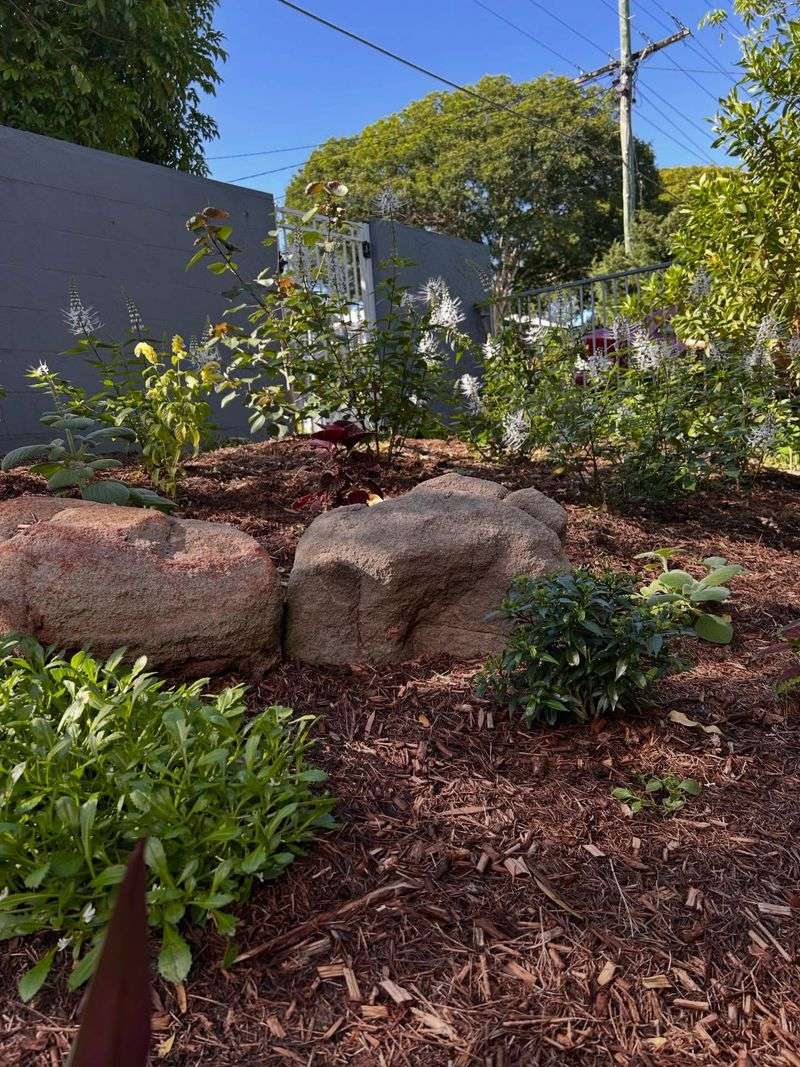 Neglecting Mulch Neglecting Mulch
