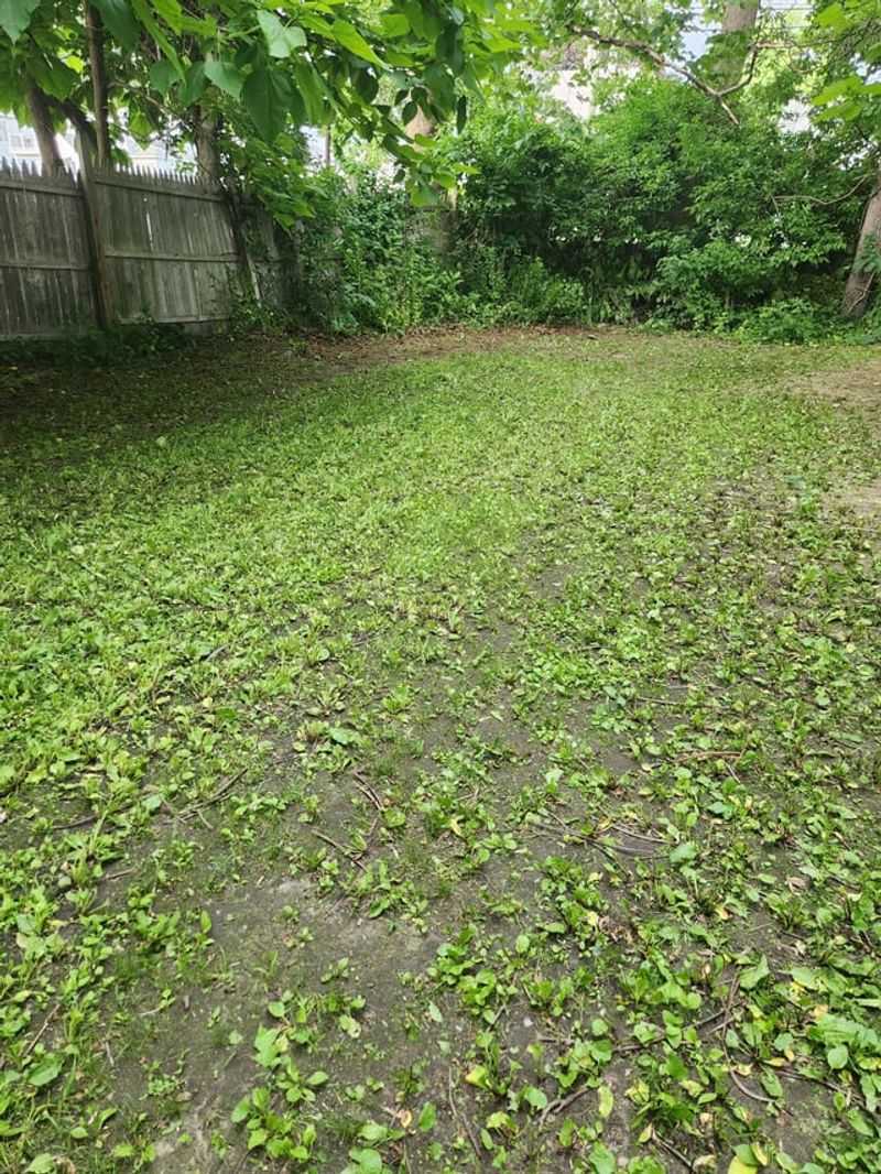 Neglecting Shaded, Damp Areas Of The Yard