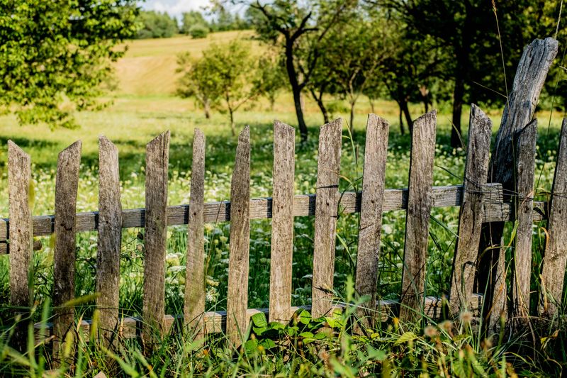 Neglecting Your Yard's Edges And Fence Lines