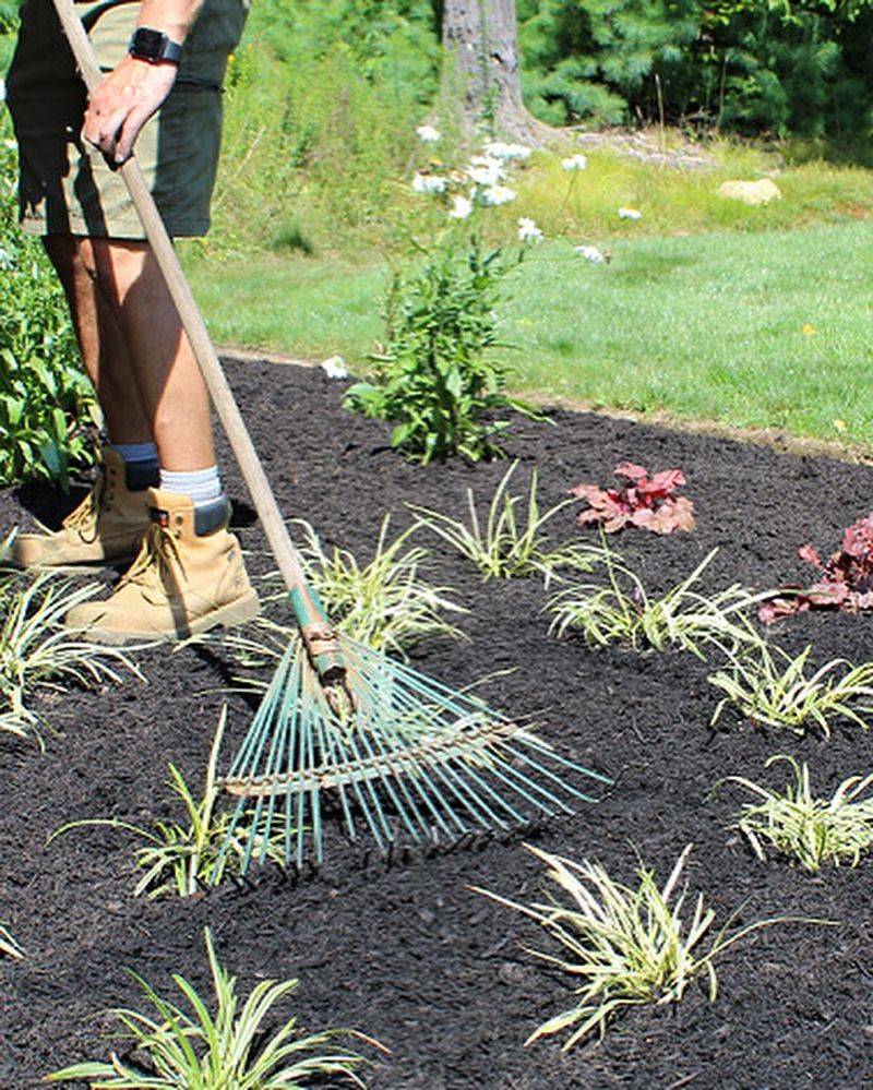 Never Refreshing Or Raking Old Mulch Never Refreshing Or Raking Old Mulch