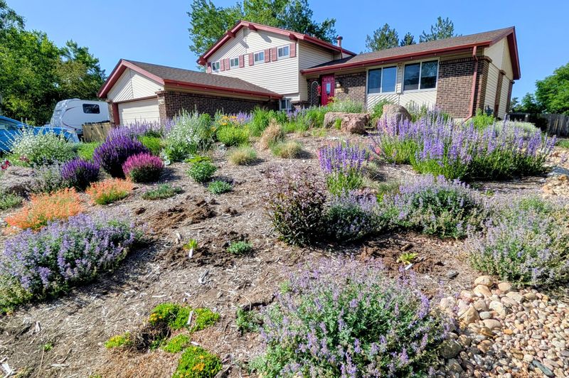 New Drought-Tolerant Plants Can Be Ignored Right Away
