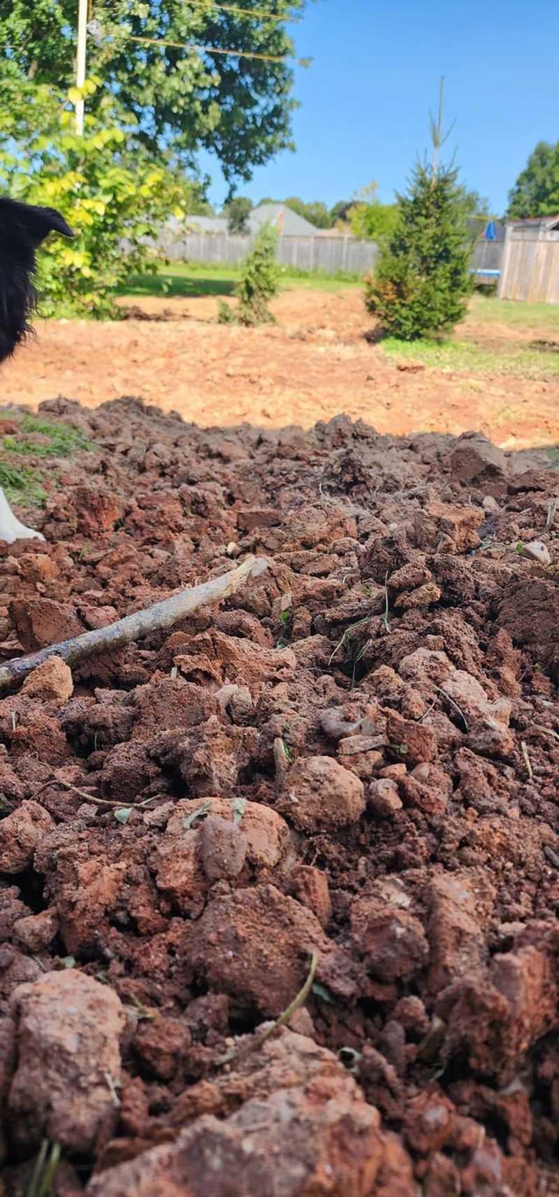 New Jersey's Clay-Heavy Soil Requires Extra Prep Work