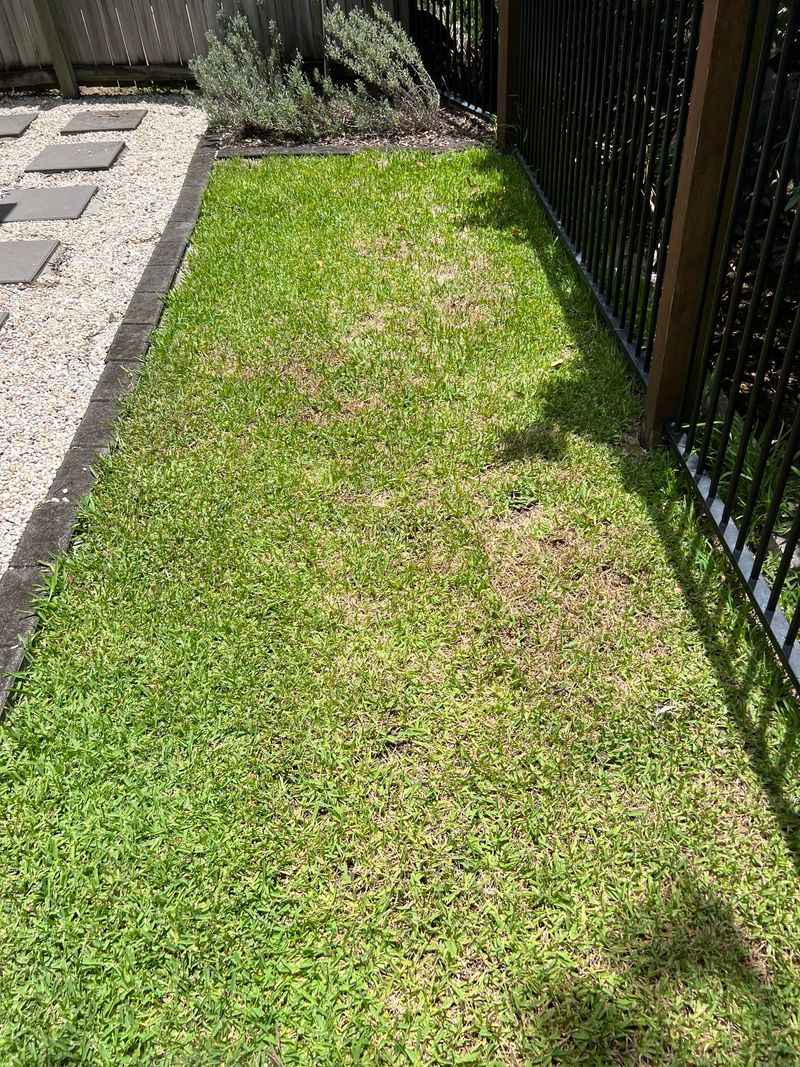 New York Regions Where Lawn Pests Are Most Active New York Regions Where Lawn Pests Are Most Active