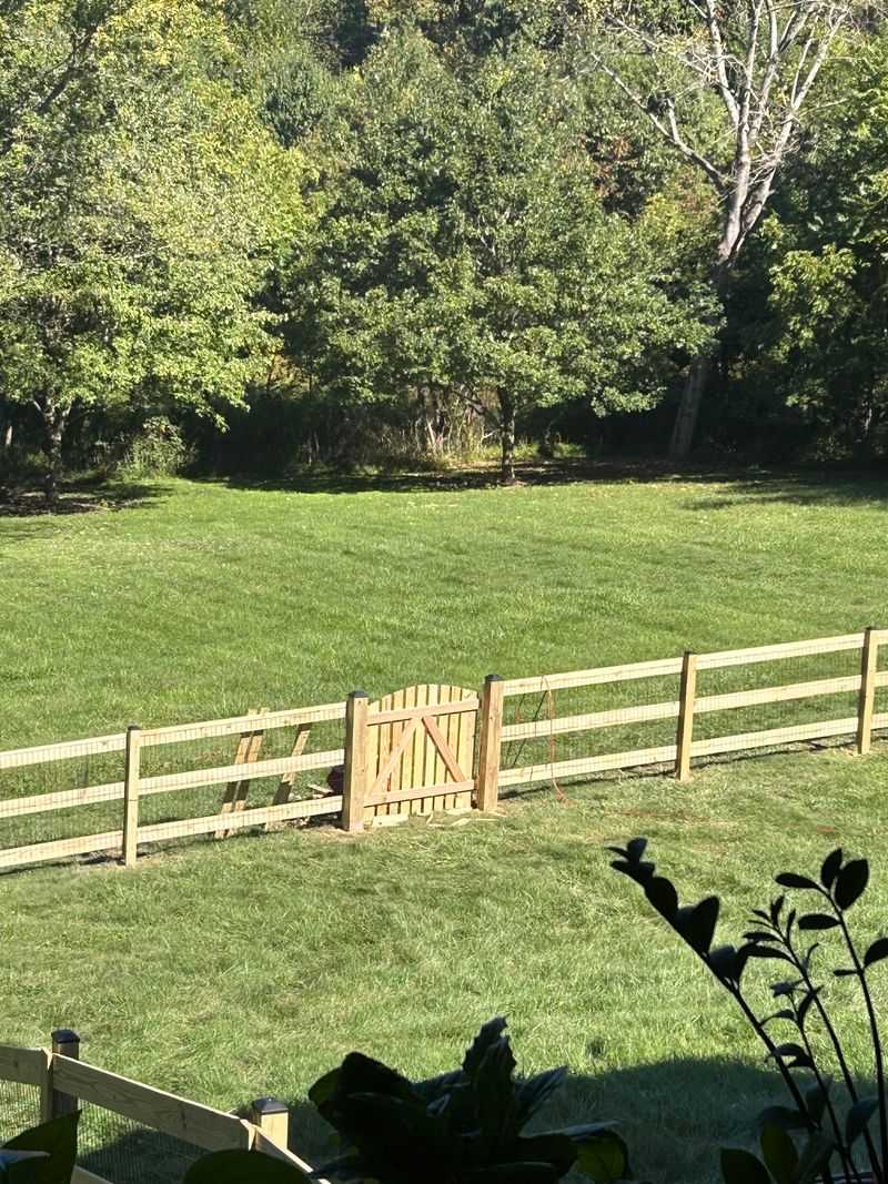 Not Creating A Barrier Between Your Lawn and Wooded Areas Not Creating A Barrier Between Your Lawn and Wooded Areas