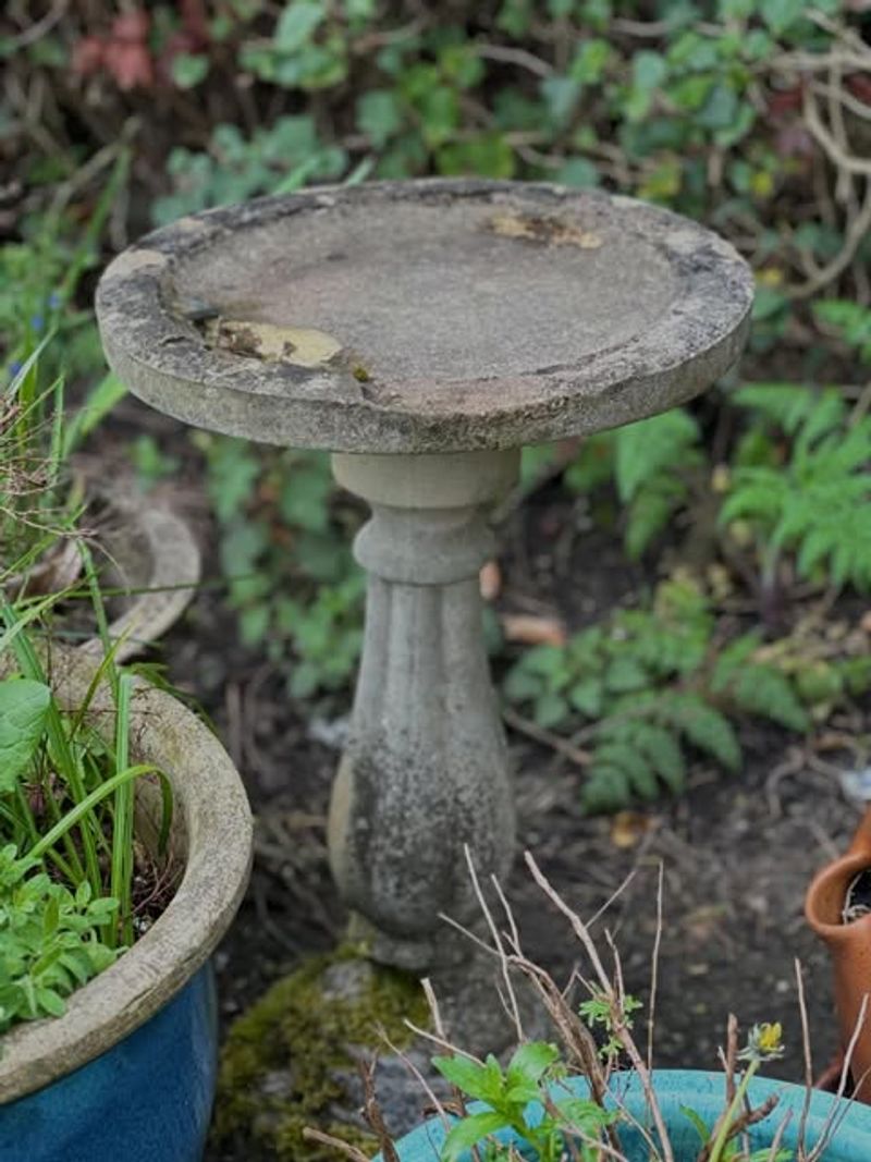 Not Refreshing Stones That Trap Puddles On Hot Days Not Refreshing Stones That Trap Puddles On Hot Days