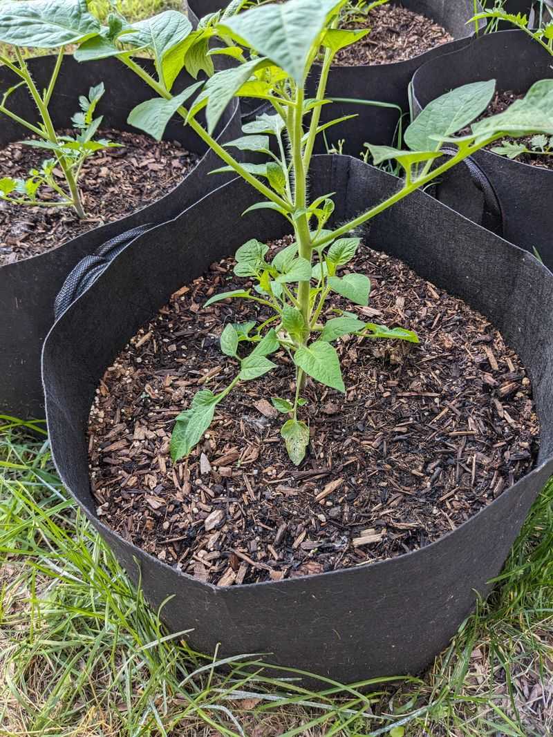 Nutrients Move Unevenly Through Dense Soil