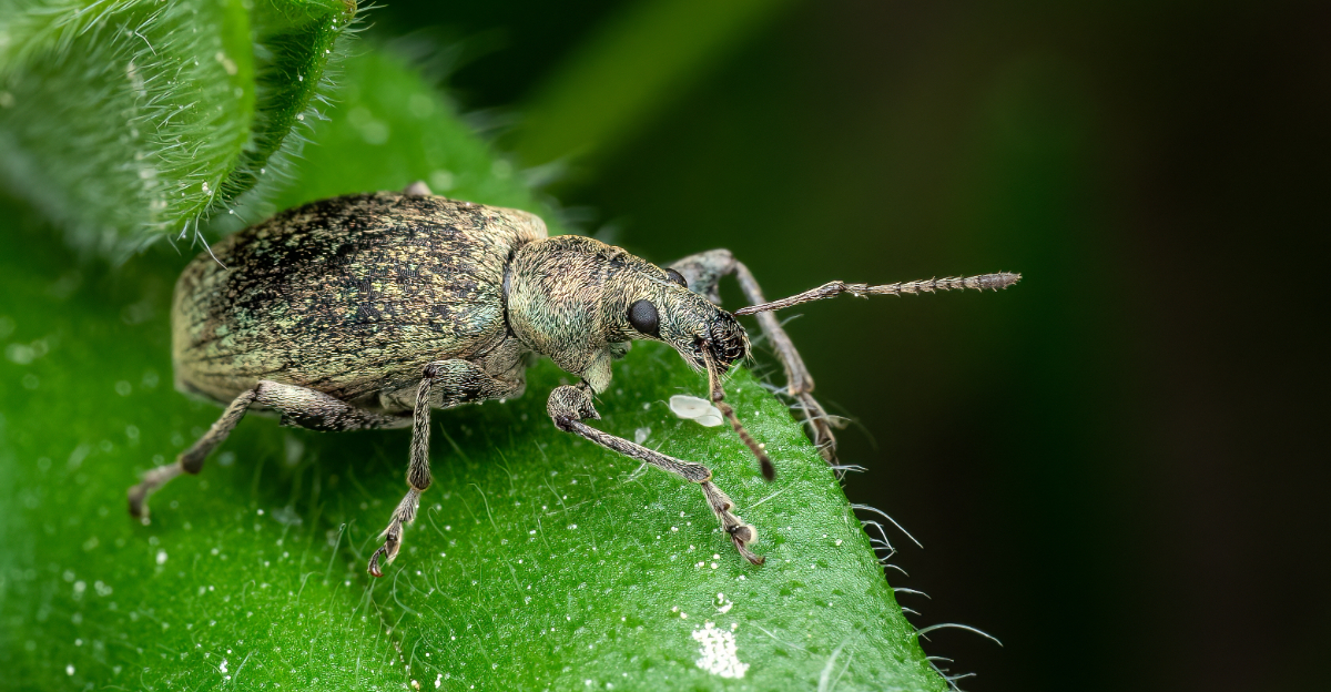 Image Credit: © Lubos Chlubny / Shutterstock
