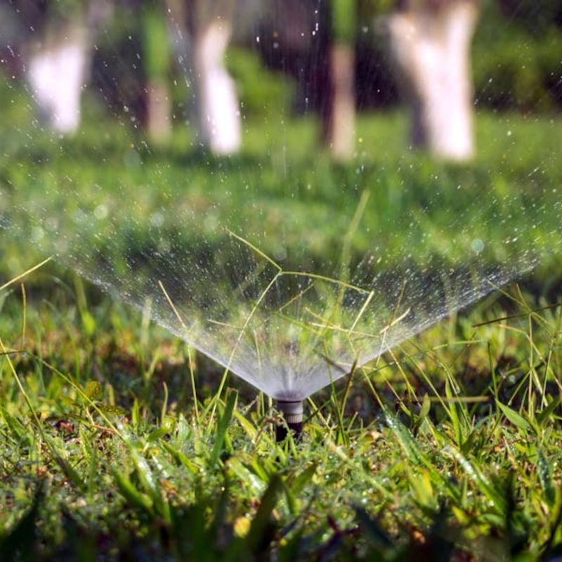 One Inch Per Week Meets Most Lawn Water Needs One Inch Per Week Meets Most Lawn Water Needs
