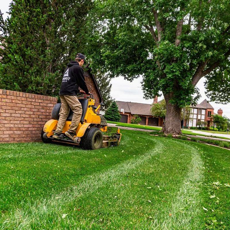 Only Mowing The Center Of The Yard