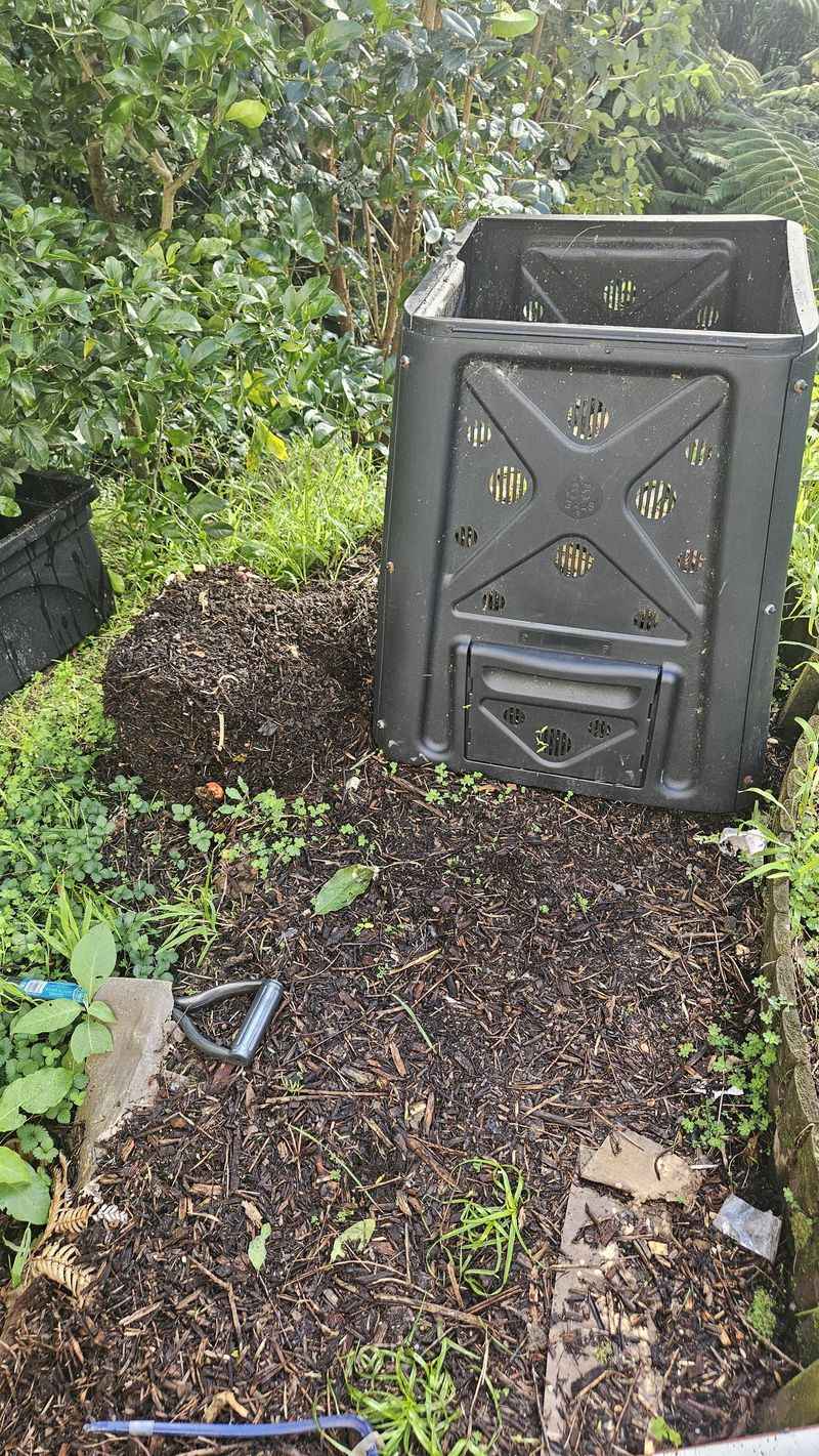 Open Bins Give Rats An Easy Way In