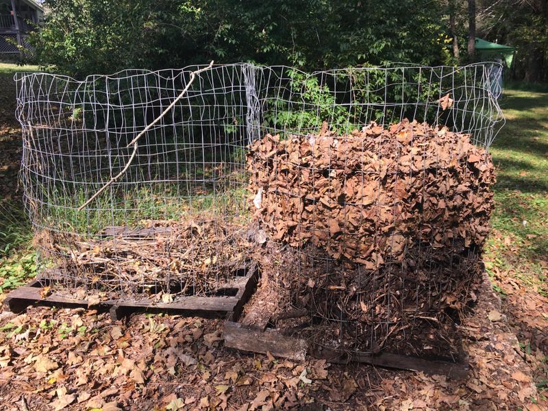 Open Compost Attracts Small Animals