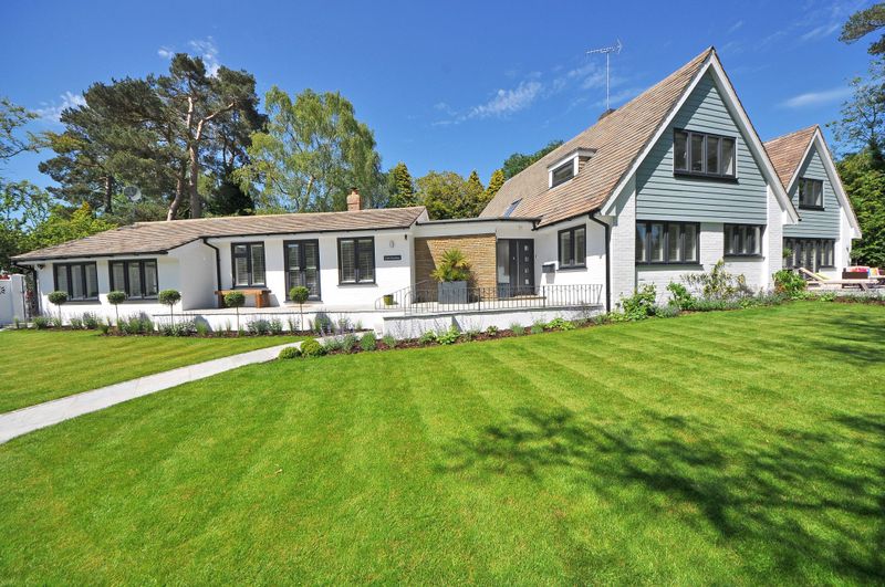 Open Lawns Are Exactly What Fire Ants Look For