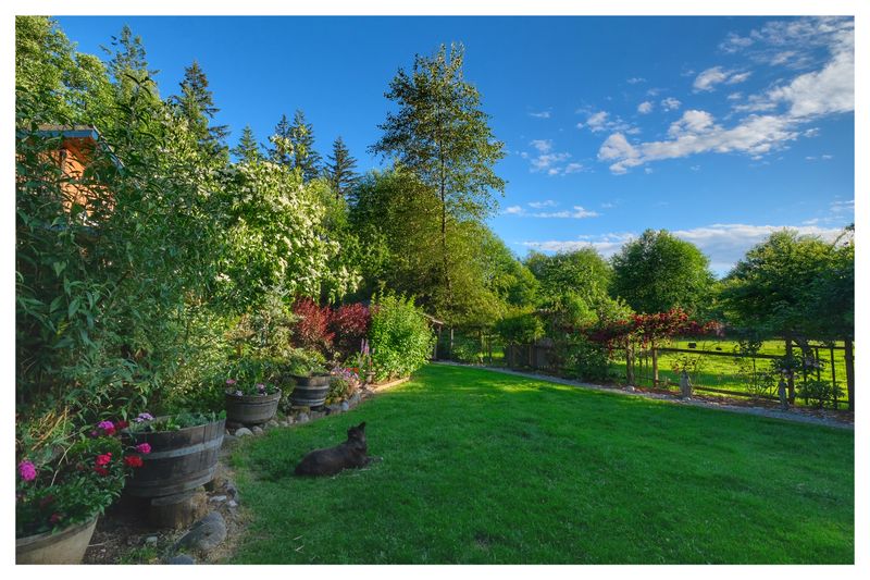 Open Sunny Edges Make Yards Less Tick-Friendly