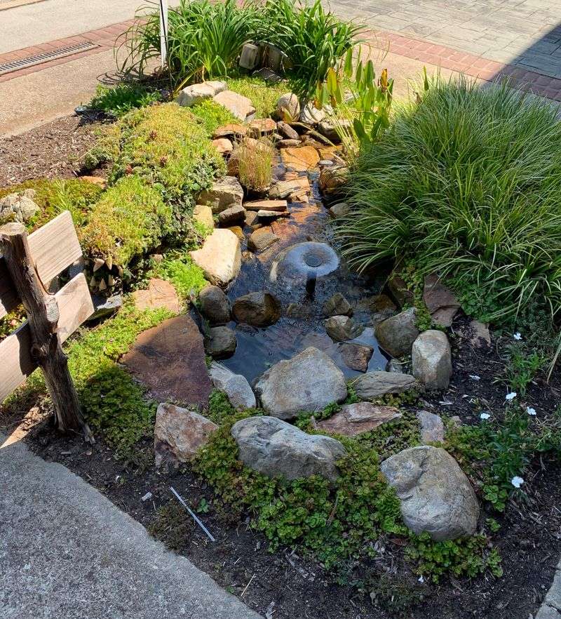 Open Water Sources Near Busy Yard Areas
