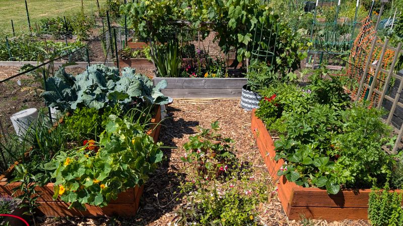 Oregon Gardeners May Be Wasting Water With This One Common Habit Oregon Gardeners May Be Wasting Water With This One Common Habit