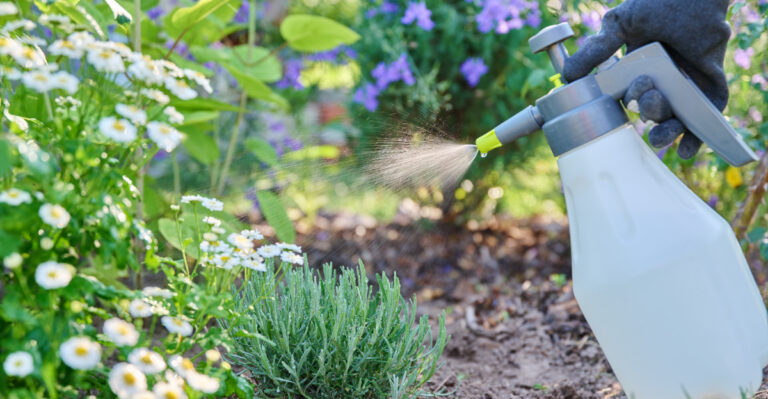 Oregon Gardeners Waste Money Every Summer With These 8 Common Habits