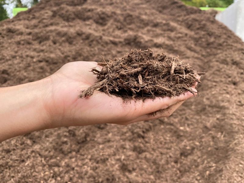 Organic Mulch Helps Keep Soil Cooler