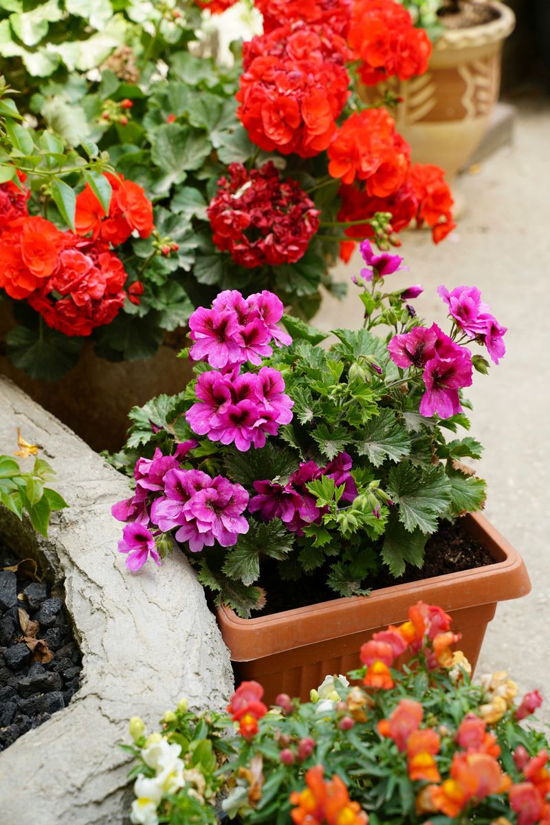 Other Care Habits That Support Heavier Blooming