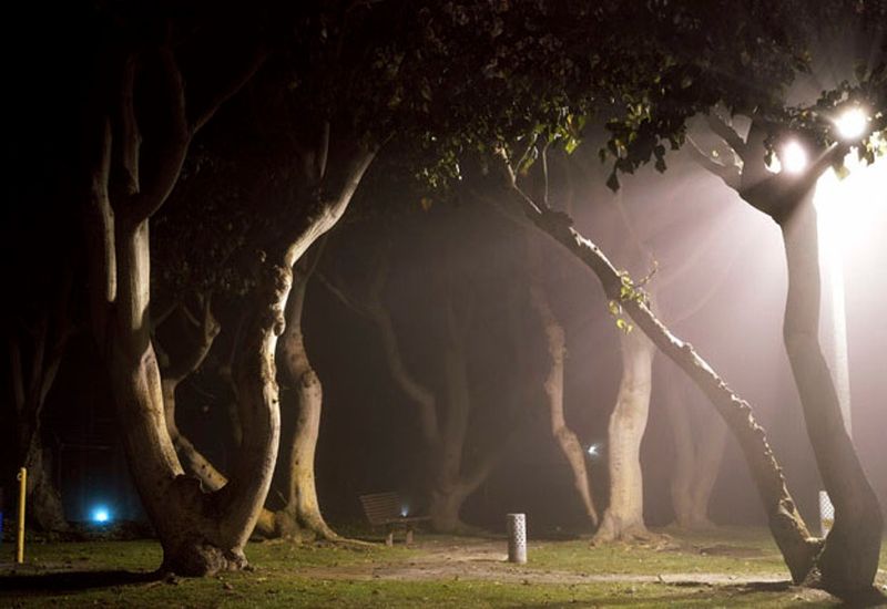 Outdoor Lighting Can Make Hunting Less Natural