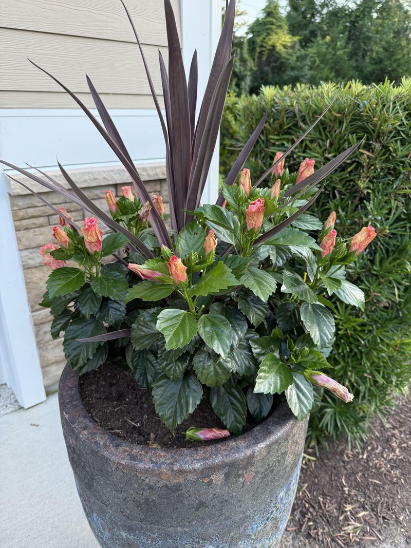 Outward Buds Create A Fuller Shape Outward Buds Create A Fuller Shape