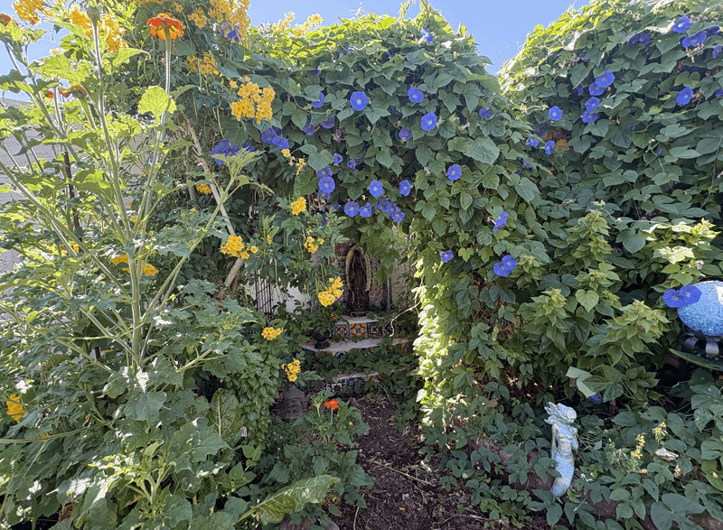 Overgrown Plantings Create More Places To Hide Overgrown Plantings Create More Places To Hide
