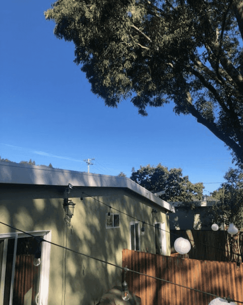 Overhanging Branches Drop Fuel Onto The Roof Overhanging Branches Drop Fuel Onto The Roof
