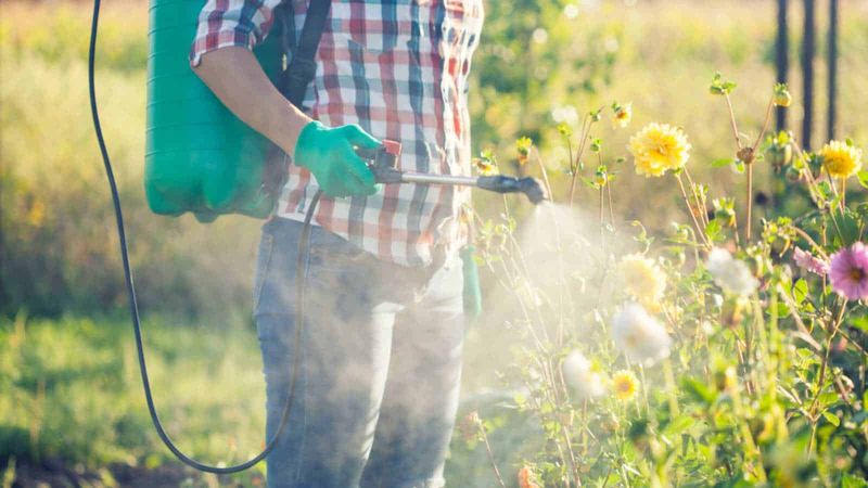 Overusing Pesticides