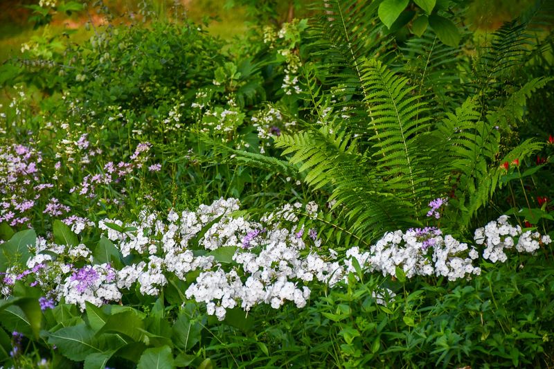 Pair It With Ferns, Sedges, And Spring Ephemerals