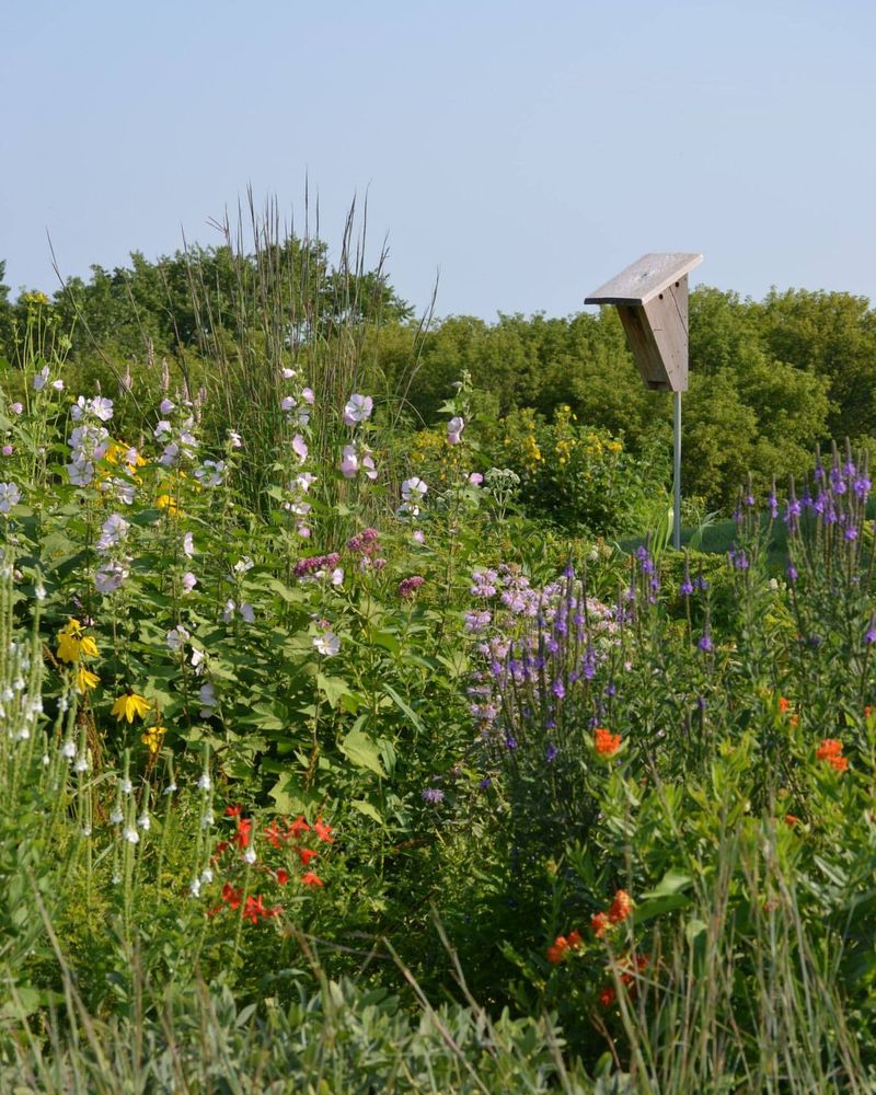 Pair It With Real Prevention For A Smarter Outdoor Space Pair It With Real Prevention For A Smarter Outdoor Space