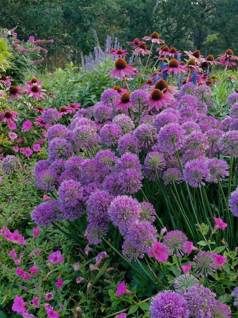 Pair It With Short-Lived Annuals For Constant Color