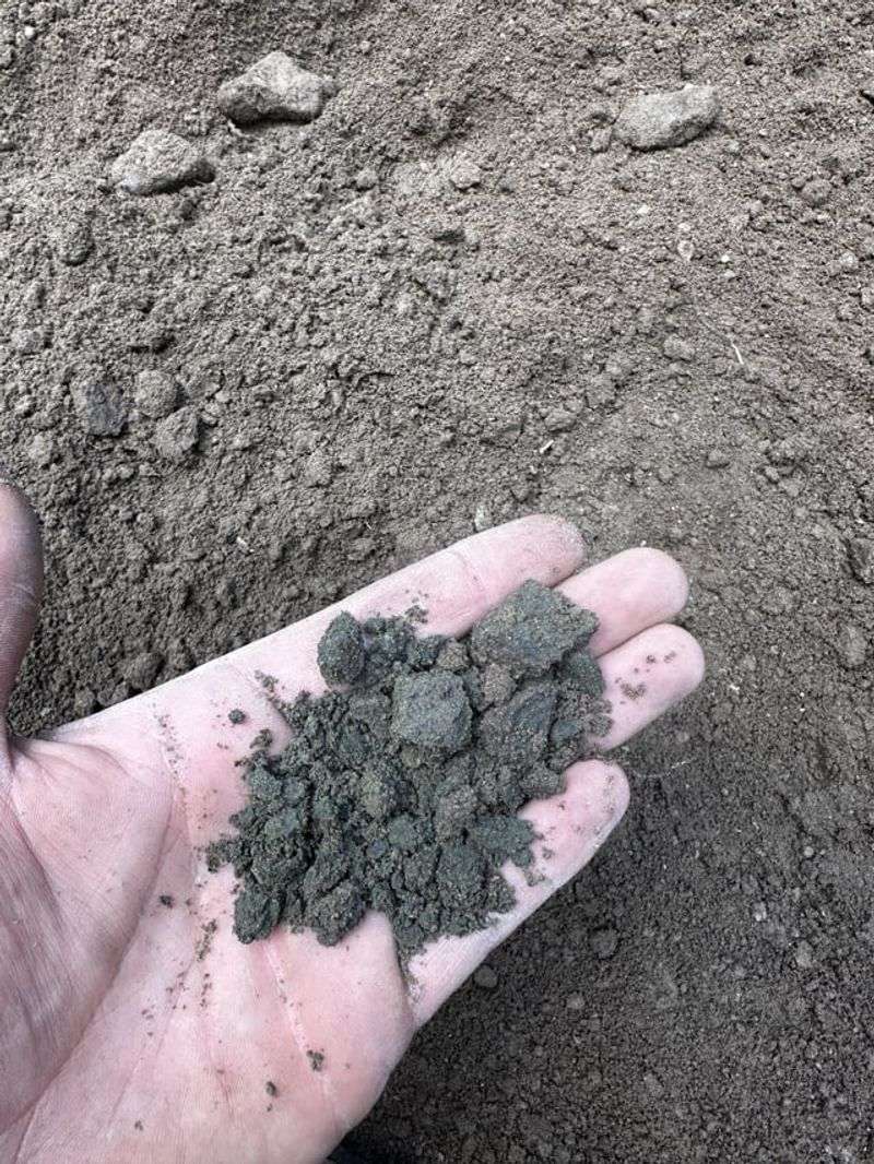 Parent Material Shapes The Starting Soil Parent Material Shapes The Starting Soil